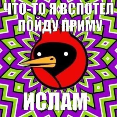 �������������� �����������