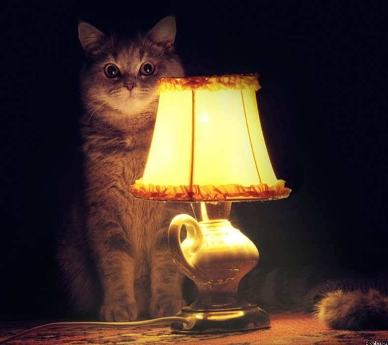 �������������� �����������