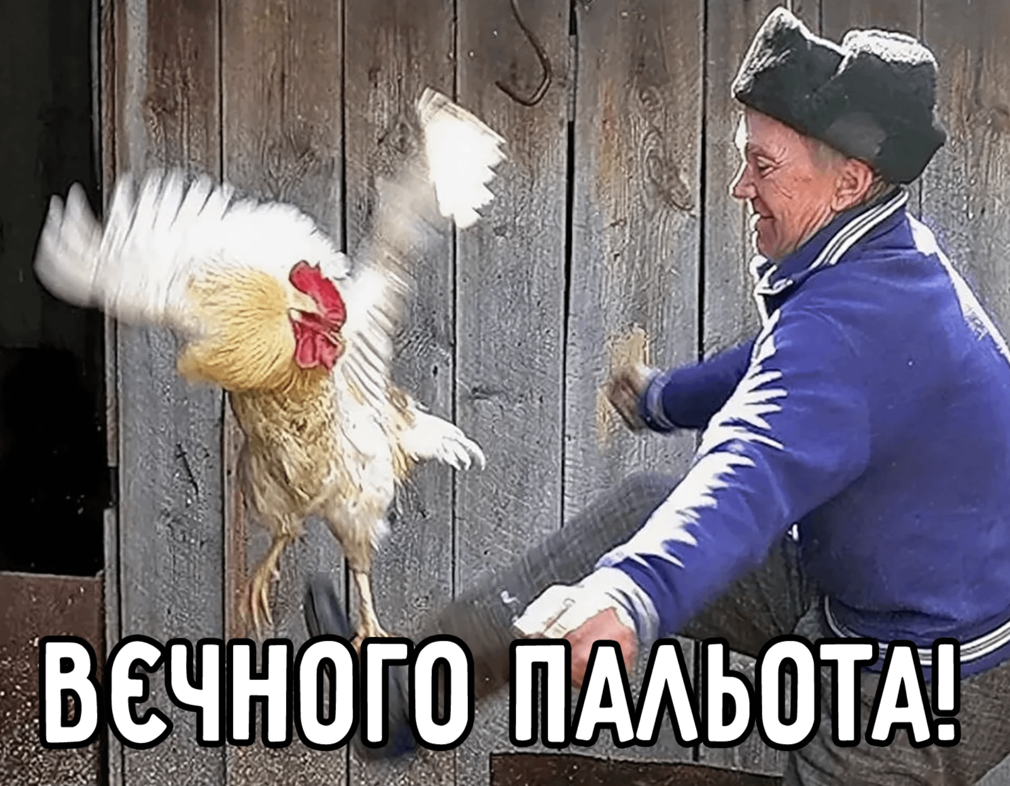 �������������� �����������